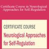 Varleisha D. Gibbs - Certificate Course in Neurological Approaches for Self-Regulation