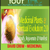 [Download Now] David Crow - Medicinal Plants & Spiritual Evolution 2.0