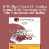 [Audio Download] BT06 Short Course 12 - Guiding Internal Body Conversations for Pain Management and Healing - Jeanne Hernandez