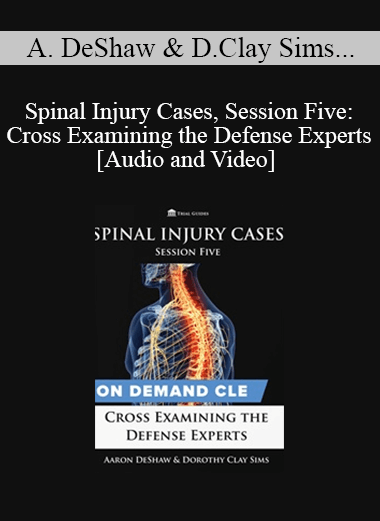 Trial Guides - Spinal Injury Cases