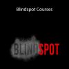 Brett Bartholomew - Blindspot Courses