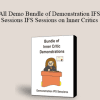 Jay Earley & Bonnie Weiss - All Demo Bundle of Demonstration IFS Sessions IFS Sessions on Inner Critics + IFS Sessions + Steps in the IFS Process