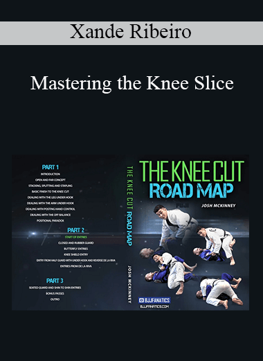 Xande Ribeiro - Mastering the Knee Slice