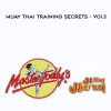 Master Toddy – Muay Thai Training Secrets – Voi.3