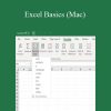 Jessica Holton - Excel Basics (Mac)