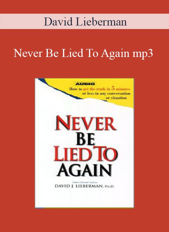 David Lieberman - Never Be Lied To Again mp3