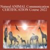 Inner Spirit - Natural ANIMAL Communication CERTIFICATION Course 2022