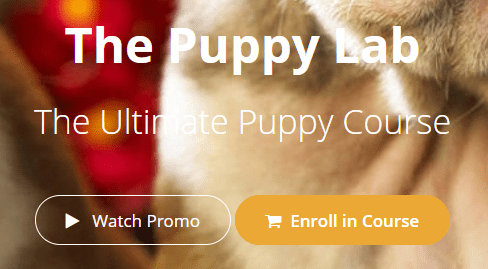 The Puppy Lab